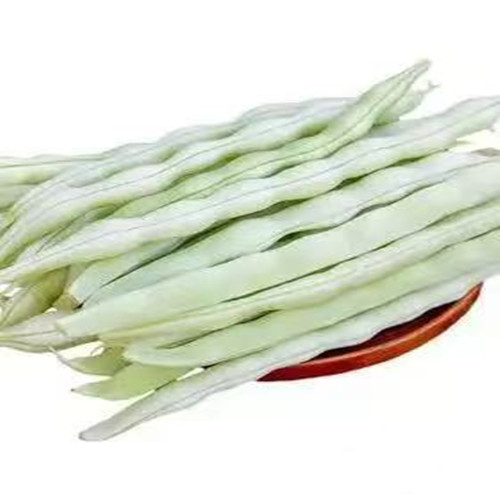 东北白不老豆角750g