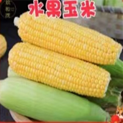 水果玉米