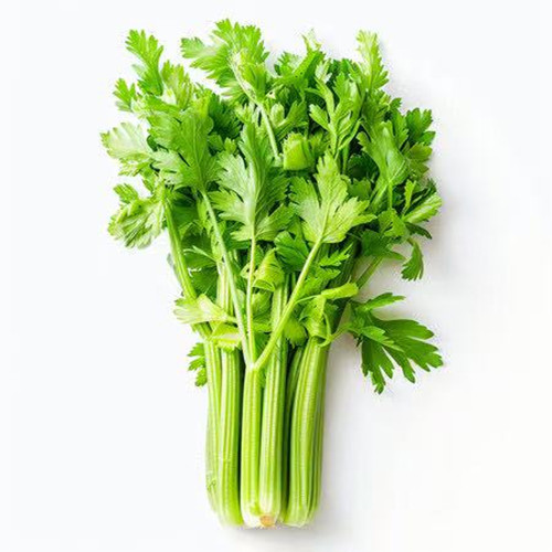 鲜芹菜