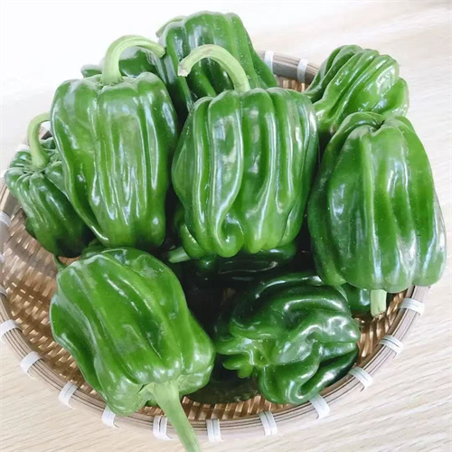 麻椒
