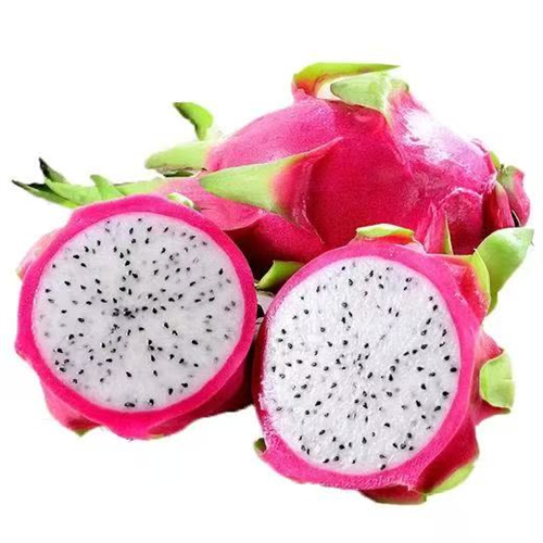 白心火龙果